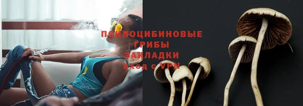 СК Абинск
