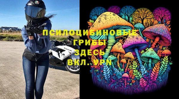jwh Абаза