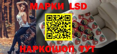 spice Гай