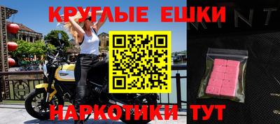 ALPHA PVP Гатчина