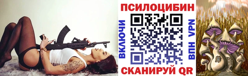 ОМГ ОМГ онион  Каменск-Шахтинский  Галлюциногенные грибы Psilocybine cubensis 