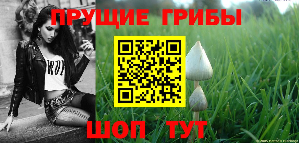 Псилоцибиновые грибы MAGIC MUSHROOMS Каменск-Шахтинский